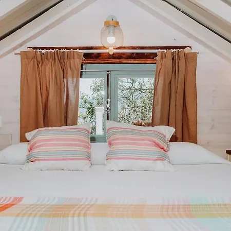 El Pino Centenario 4b La Perdoma