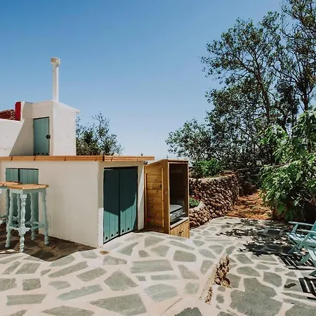 El Pino Centenario 4b *