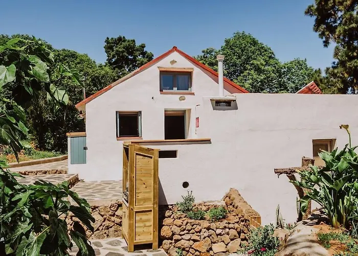 El Pino Centenario 4b