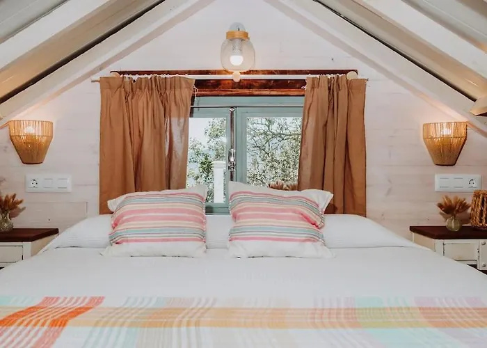 El Pino Centenario 4b La Perdoma