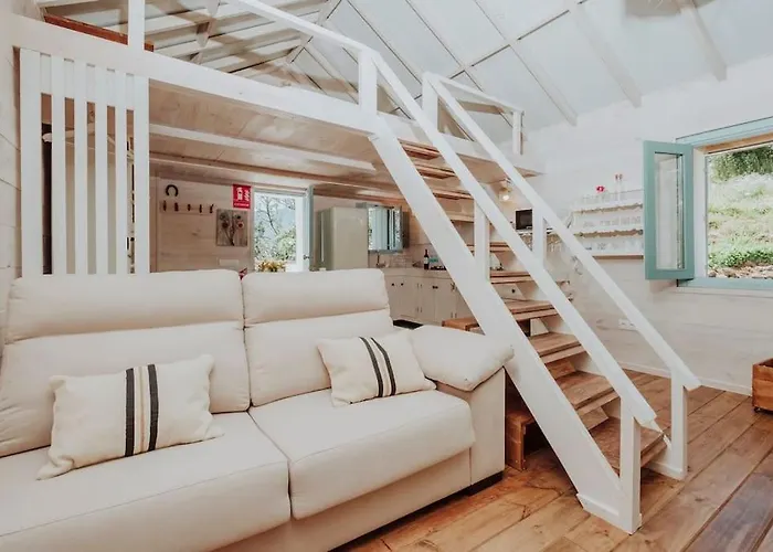 El Pino Centenario 4b * La Perdoma