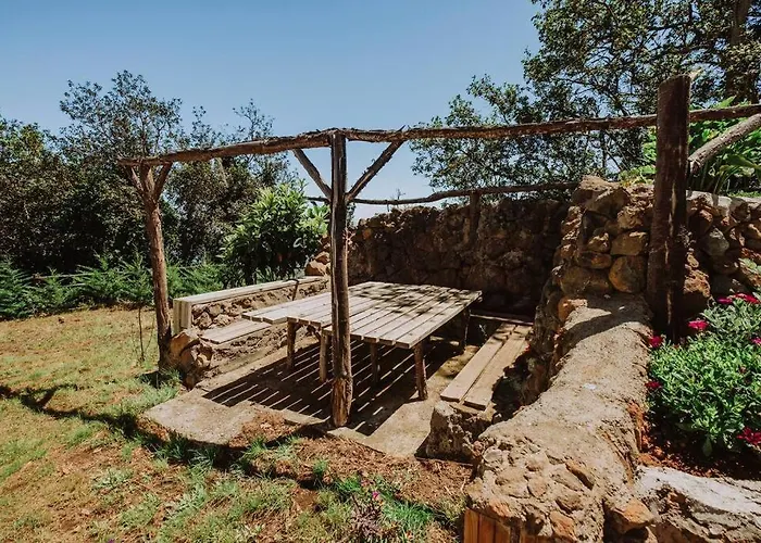 El Pino Centenario 4b La Perdoma