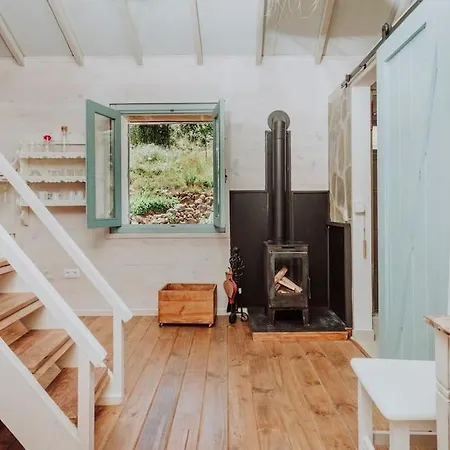 El Pino Centenario 4b فيلة *