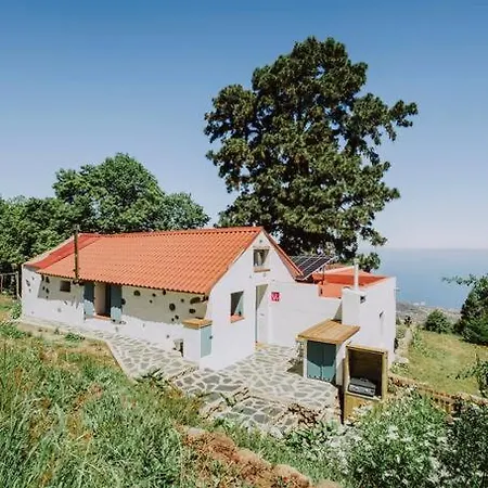 빌라 El Pino Centenario 4b *