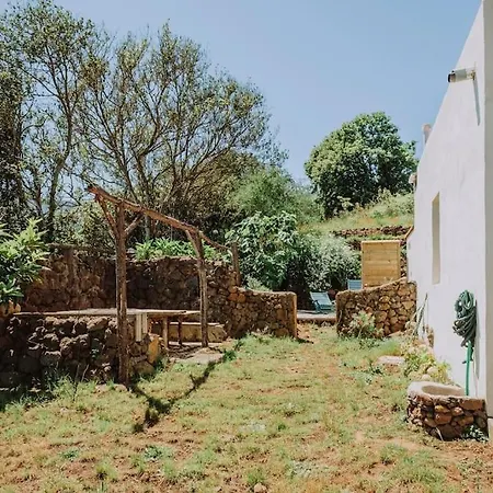 El Pino Centenario 4b فيلة La Perdoma