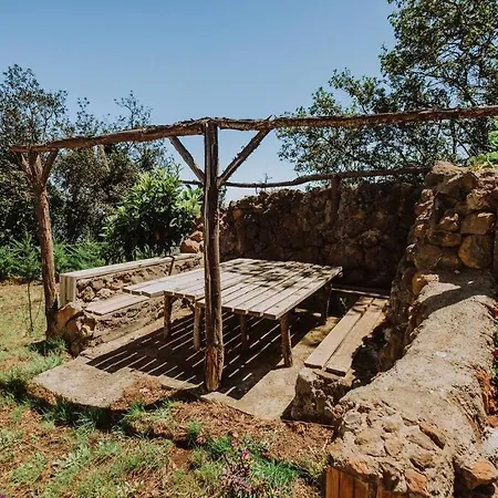 El Pino Centenario 4b La Perdoma