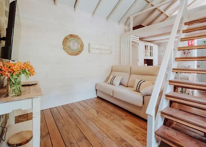 El Pino Centenario 4b