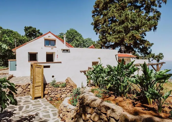 El Pino Centenario 4b * La Perdoma