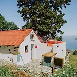 Villa El Pino Centenario 4b